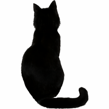 Вымершие породы домашних кошек